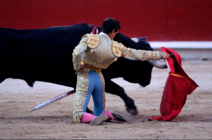 The happy bullfighter